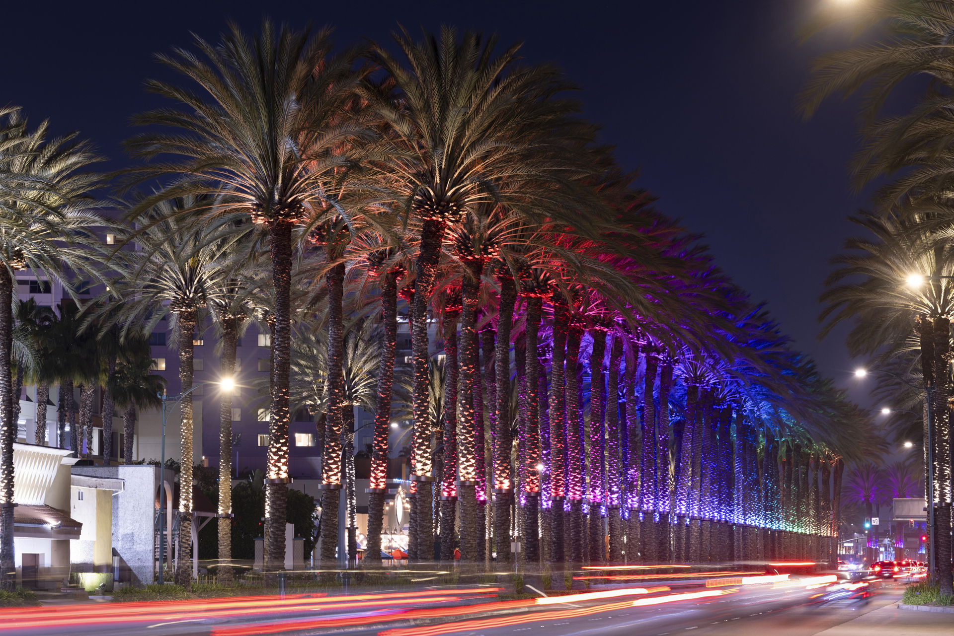 Travel, Transportation & Things to Do