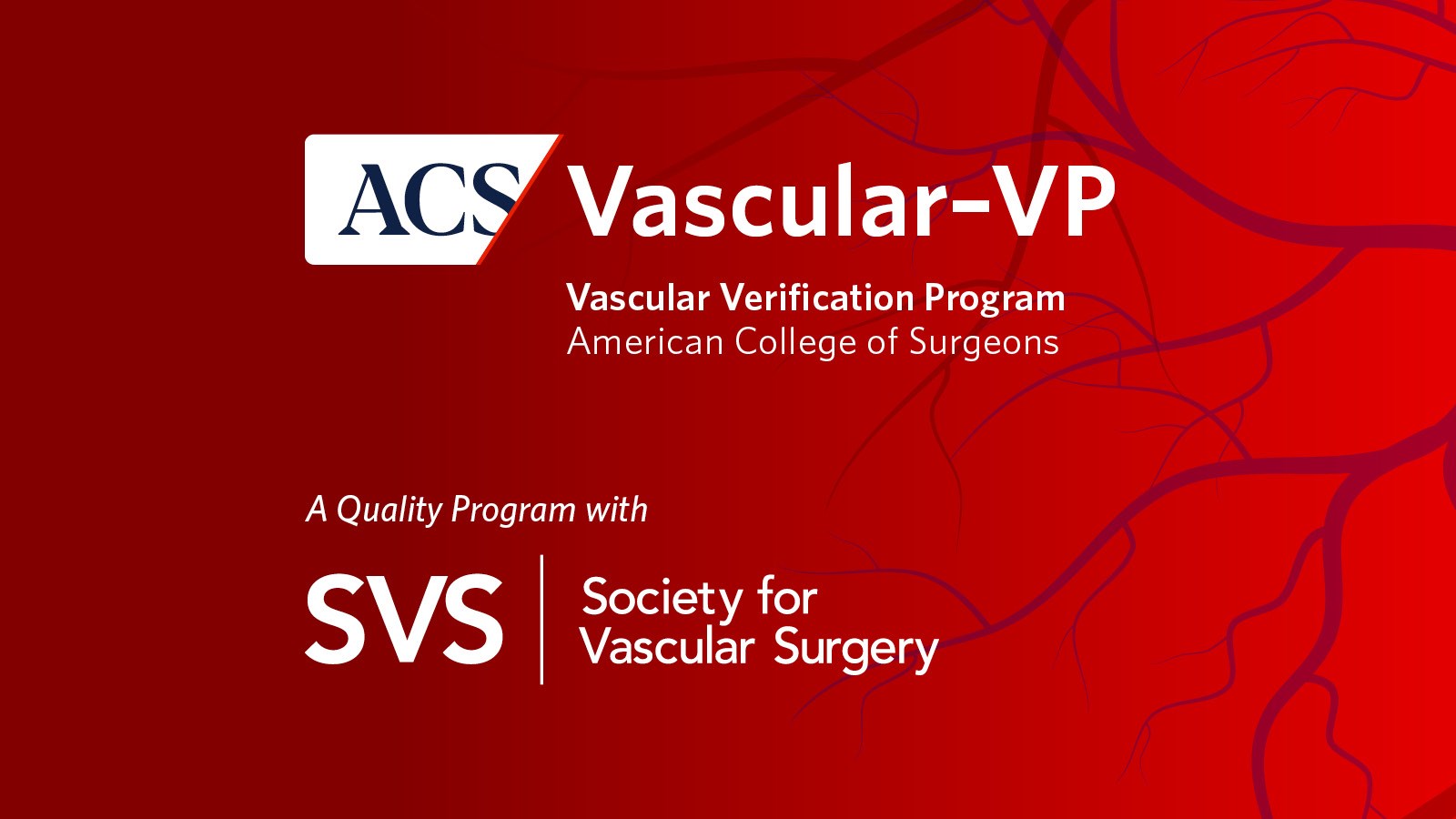 Advisory Council Describes How Vascular Verification Provides Data-Driven Mark of Excellence
